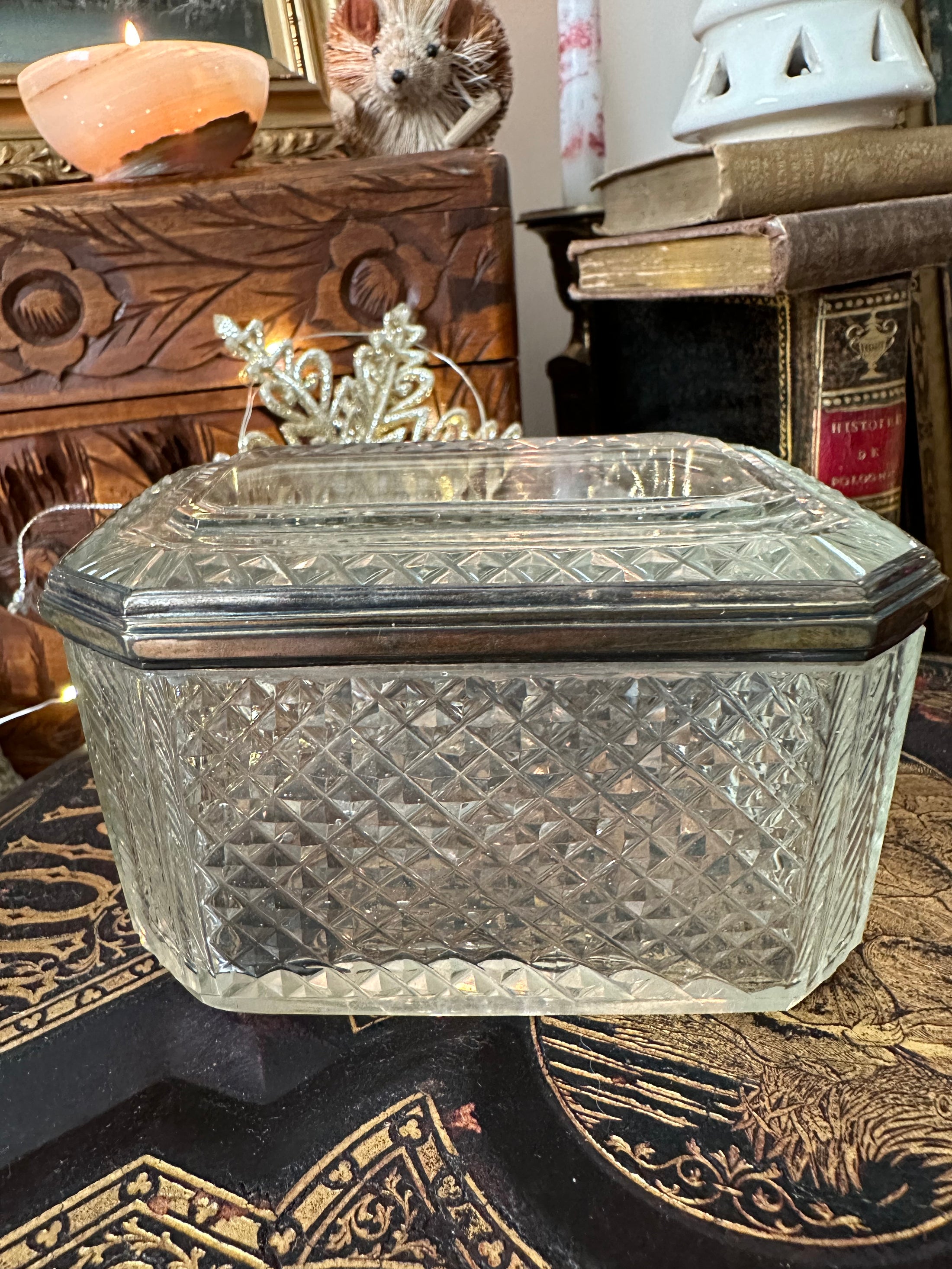 Glass Casket With Brass Details