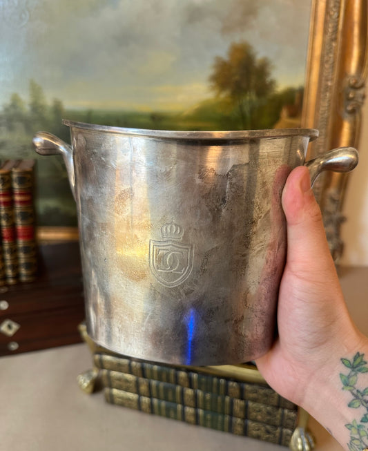 Silver Mini Champaign Bucket